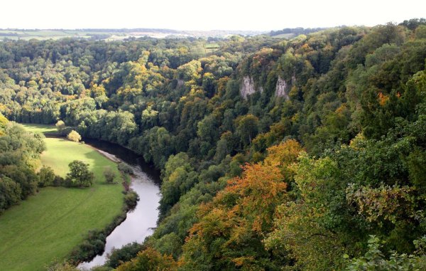 x1-Canoe-the-Wye-Coldwell-Rocks-web.jpg.pagespeed.ic_.aILL2j253h