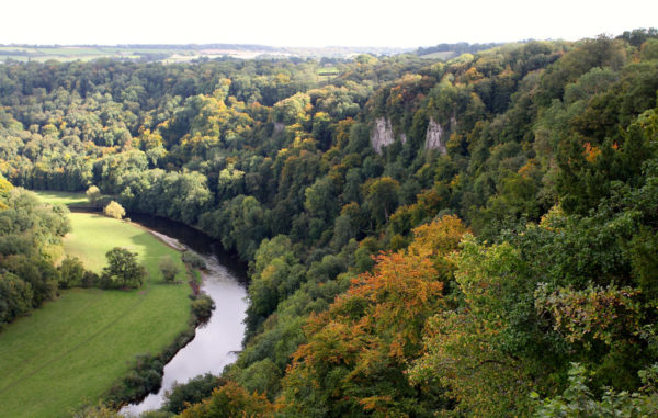 Canoe hire river Wye 1-Canoe-the-Wye-Coldwell-Rocks-web Canoe hire river Wye